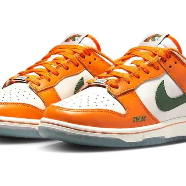 Nike Dunk Low Florida A&M University